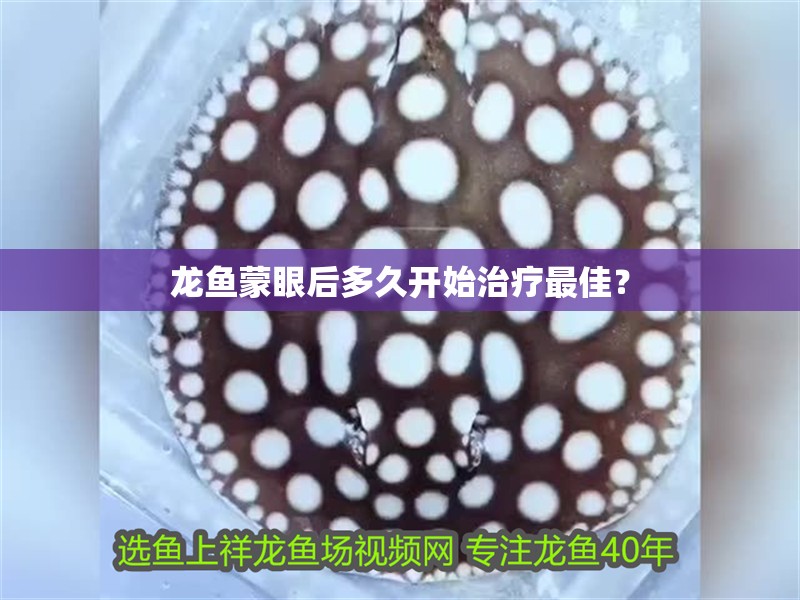 龍魚蒙眼后多久開始治療最佳？