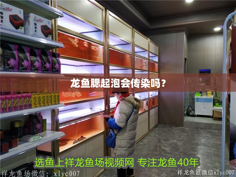 龍魚腮起泡會傳染嗎？