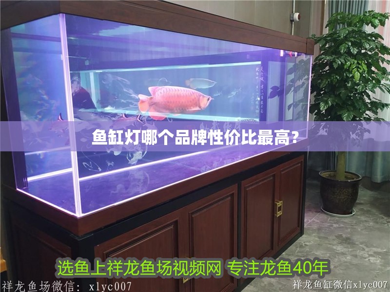 魚缸燈哪個品牌性價比最高？
