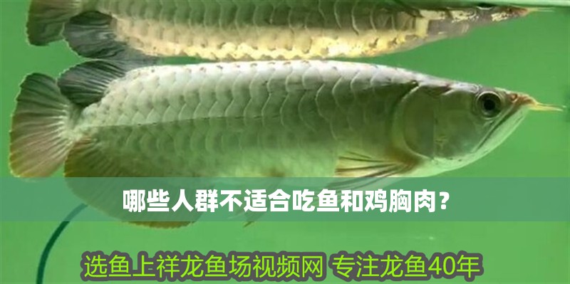 哪些人群不適合吃魚和雞胸肉？