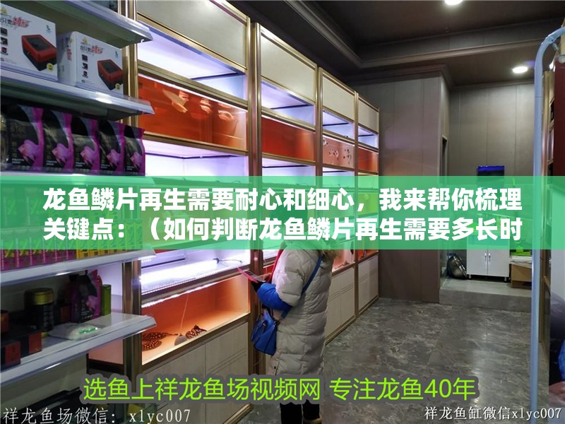 龍魚鱗片再生需要耐心和細(xì)心，我來(lái)幫你梳理關(guān)鍵點(diǎn)：（如何判斷龍魚鱗片再生需要多長(zhǎng)時(shí)間？） 龍魚鱗片再生需要耐心和細(xì)心，我來(lái)幫你梳理關(guān)鍵點(diǎn)：（如何判斷龍魚鱗片再生需要多長(zhǎng)時(shí)間？） 龍魚百科