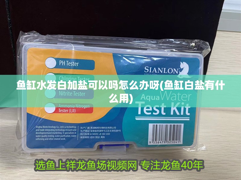 魚缸水發白加鹽可以嗎怎么辦呀(魚缸白鹽有什么用)