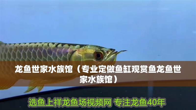 龍魚世家水族館（專業(yè)定做魚缸觀賞魚龍魚世家水族館）
