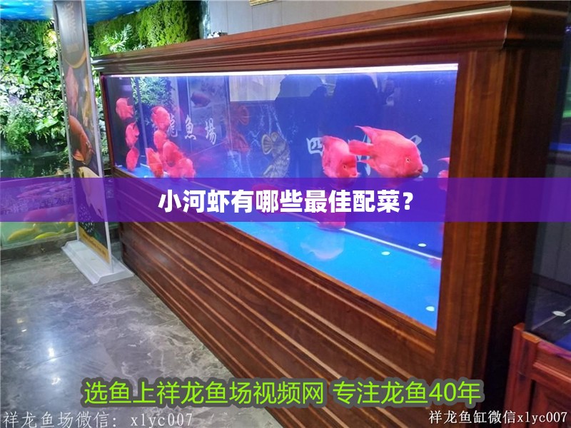 小河蝦有哪些最佳配菜？