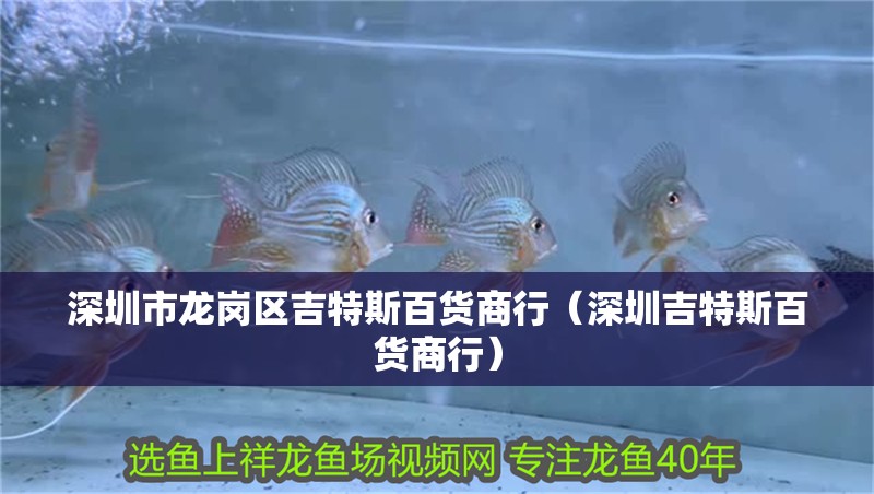 深圳市龍崗區(qū)吉特斯百貨商行（深圳吉特斯百貨商行）