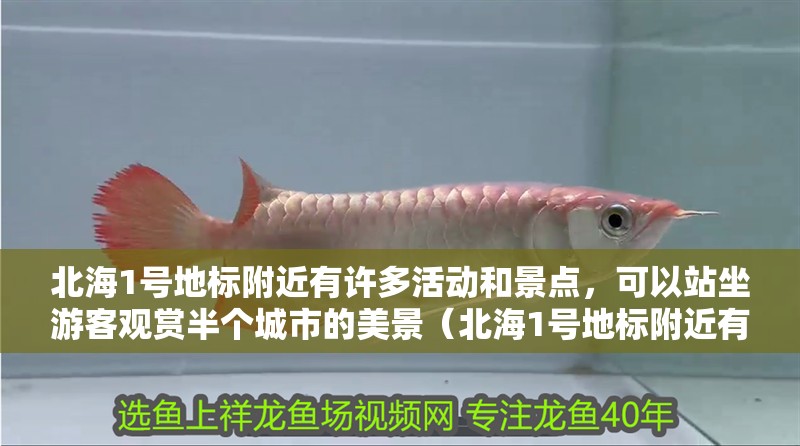 北海1號地標附近有許多活動和景點，可以站坐游客觀賞半個城市的美景（北海1號地標附近有哪些值得一游的地方）