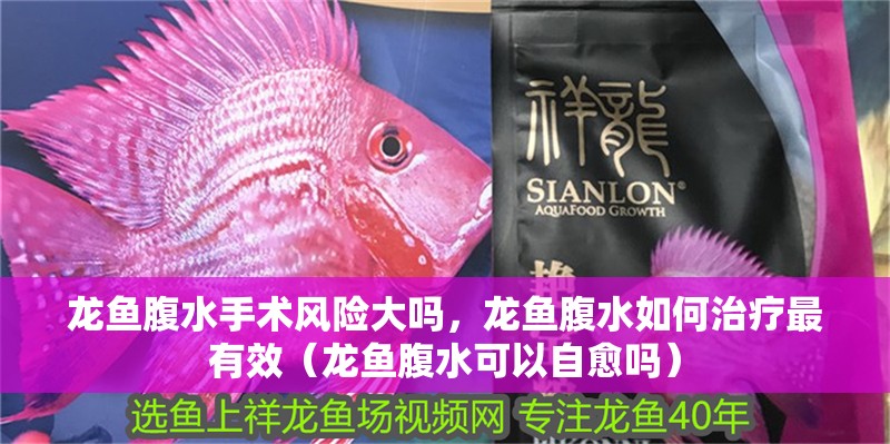 龍魚腹水手術(shù)風(fēng)險大嗎，龍魚腹水如何治療最有效（龍魚腹水可以自愈嗎） 龍魚腹水手術(shù)風(fēng)險大嗎，龍魚腹水如何治療最有效（龍魚腹水可以自愈嗎） 龍魚百科