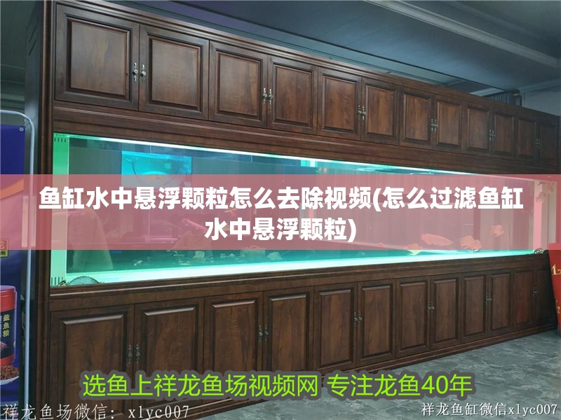 魚缸水中懸浮顆粒怎么去除視頻(怎么過濾魚缸水中懸浮顆粒)