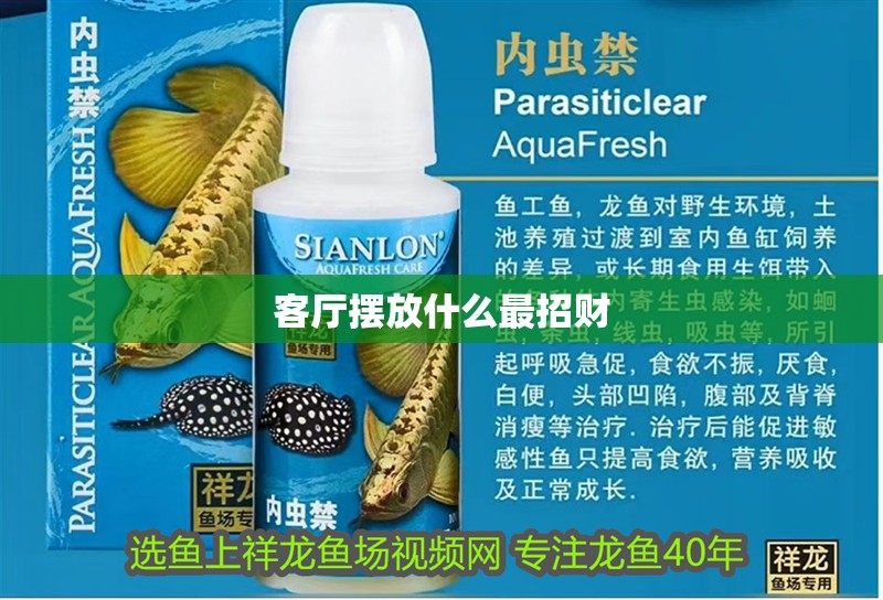 客廳擺放什么最招財(cái)