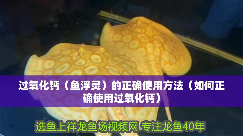 過氧化鈣（魚浮靈）的正確使用方法（如何正確使用過氧化鈣）