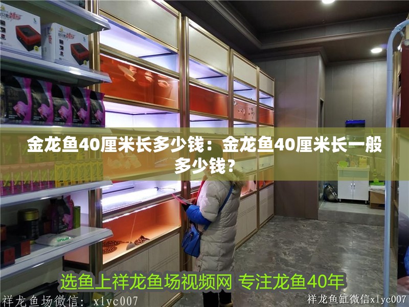 金龍魚40厘米長多少錢：金龍魚40厘米長一般多少錢？