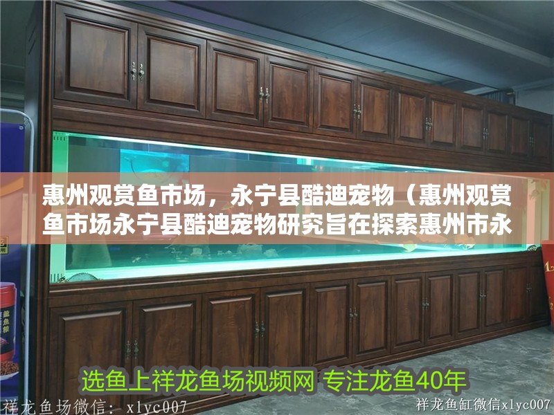 惠州觀賞魚市場，永寧縣酷迪寵物（惠州觀賞魚市場永寧縣酷迪寵物研究旨在探索惠州市永寧縣的觀賞魚市場）