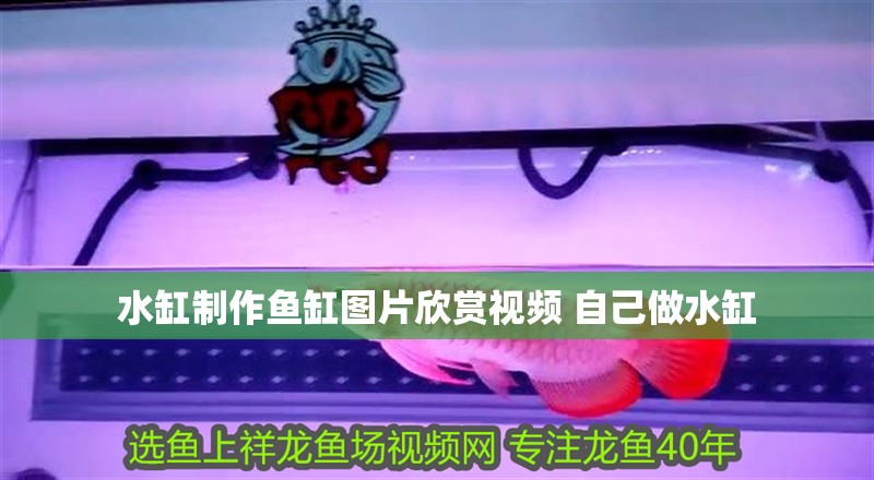 水缸制作魚缸圖片欣賞視頻 自己做水缸