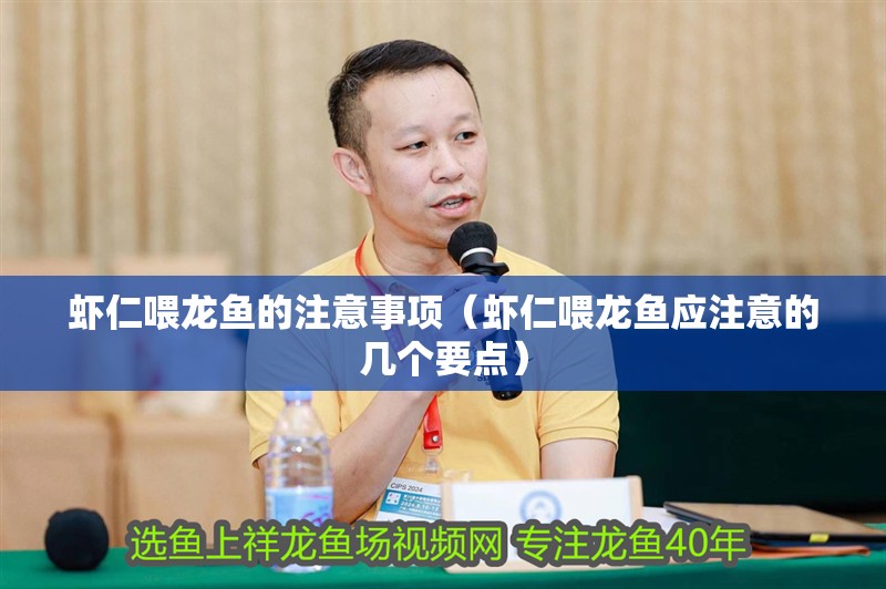 蝦仁喂龍魚的注意事項（蝦仁喂龍魚應注意的幾個要點）