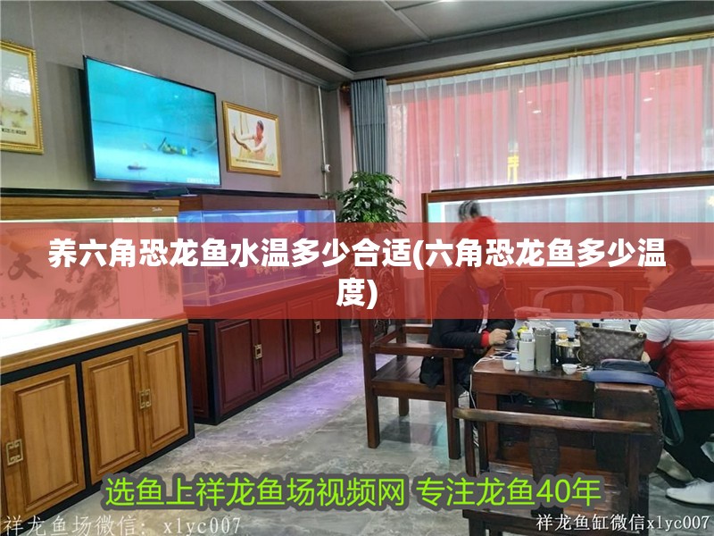養六角恐龍魚水溫多少合適(六角恐龍魚多少溫度)