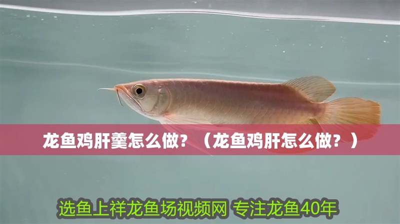 龍魚雞肝羹怎么做？（龍魚雞肝怎么做？）