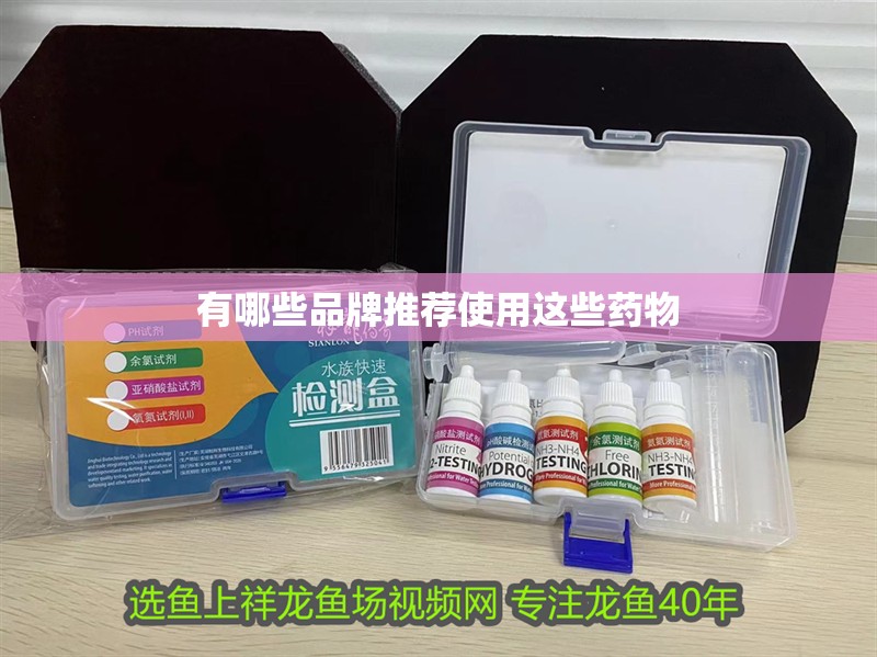 有哪些品牌推薦使用這些藥物