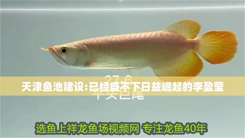 天津魚池建設:已經盛不下日益崛起的李盈瑩
