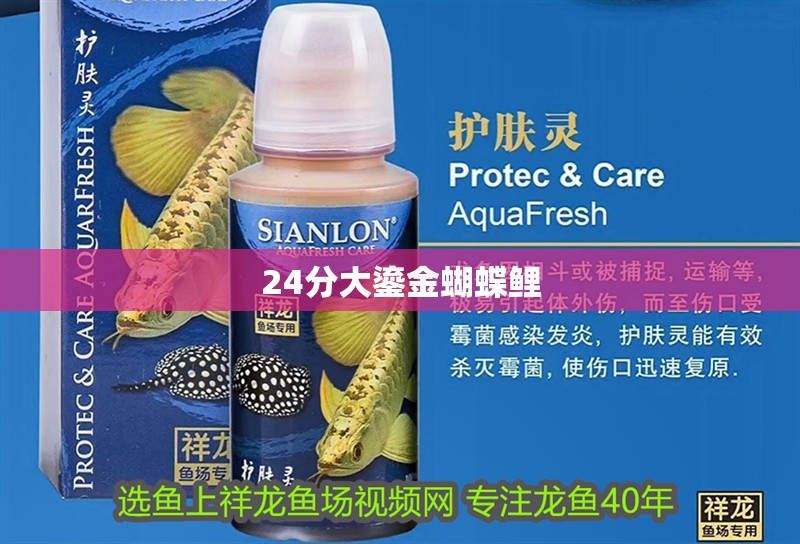 魚缸用增氧泵價格是多少:魚缸增氧機-xtrac增氧機-xtrac增氧機 24分大鎏金蝴蝶鯉 觀賞魚百科 24分大鎏金蝴蝶鯉 24分大鎏金蝴蝶鯉 觀賞魚百科