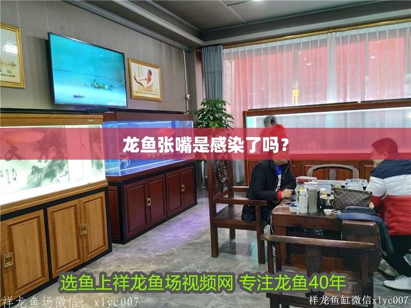 龍魚張嘴是感染了嗎？