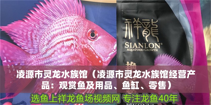 凌源市靈龍水族館（凌源市靈龍水族館經(jīng)營(yíng)產(chǎn)品：觀賞魚(yú)及用品、魚(yú)缸、零售）