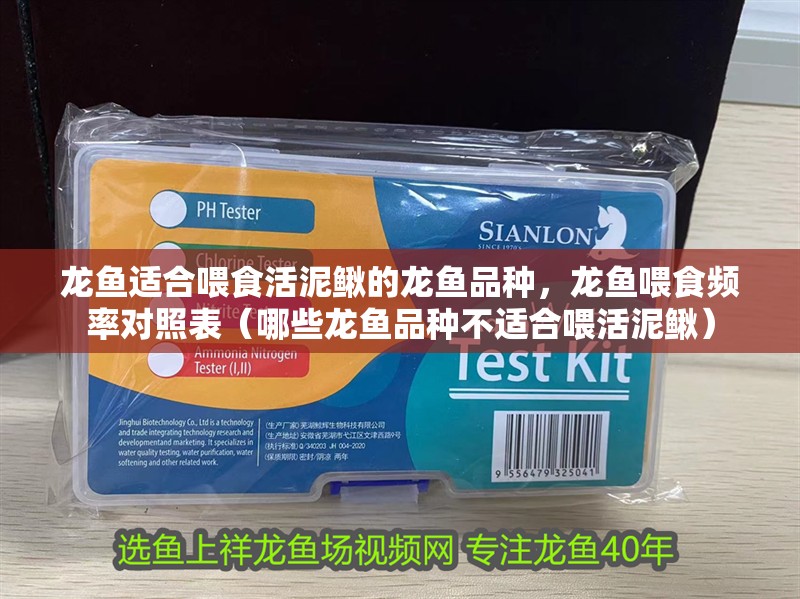 龍魚適合喂食活泥鰍的龍魚品種，龍魚喂食頻率對照表（哪些龍魚品種不適合喂活泥鰍）