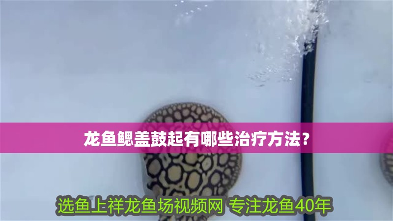 龍魚鰓蓋鼓起有哪些治療方法？