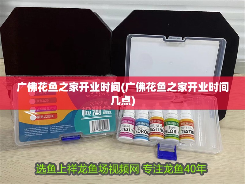 廣佛花魚之家開業(yè)時間(廣佛花魚之家開業(yè)時間幾點)