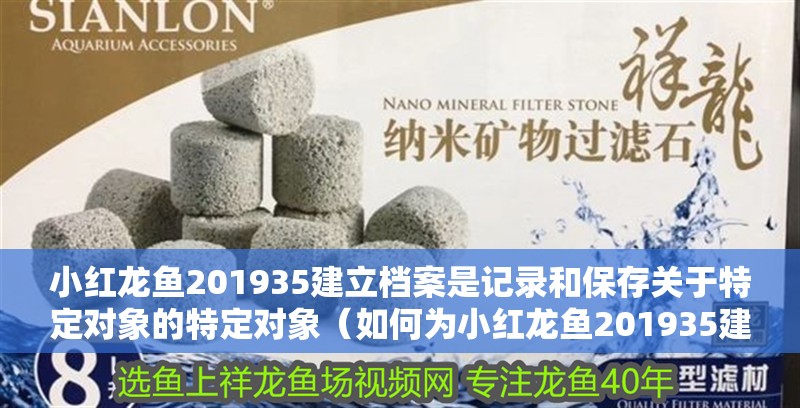 小紅龍魚201935建立檔案是記錄和保存關于特定對象的特定對象（如何為小紅龍魚201935建立檔案）