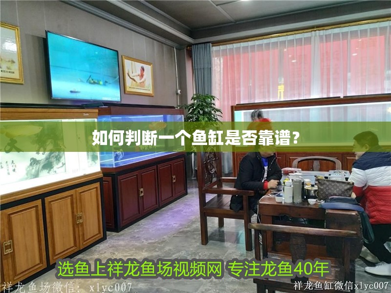 如何判斷一個魚缸是否靠譜？