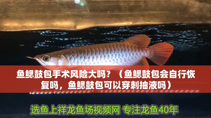 魚鰓鼓包手術風險大嗎？（魚鰓鼓包會自行恢復嗎，魚鰓鼓包可以穿刺抽液嗎）