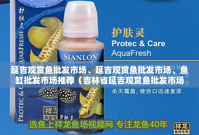 延吉觀賞魚批發市場、延吉觀賞魚批發市場、魚缸批發市場推薦（吉林省延吉觀賞魚批發市場、延吉觀賞魚批發市場推薦）