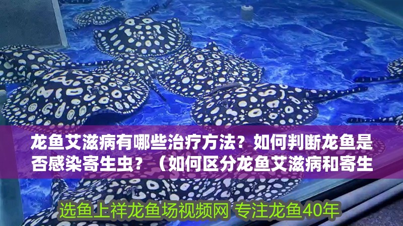龍魚艾滋病有哪些治療方法？如何判斷龍魚是否感染寄生蟲？（如何區分龍魚艾滋病和寄生蟲病）