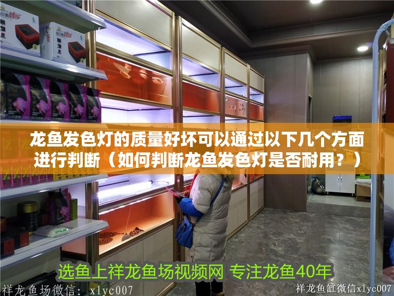 龍魚發(fā)色燈的質(zhì)量好壞可以通過以下幾個(gè)方面進(jìn)行判斷（如何判斷龍魚發(fā)色燈是否耐用？）