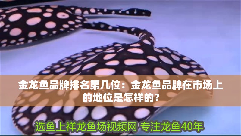 金龍魚品牌排名第幾位：金龍魚品牌在市場上的地位是怎樣的？