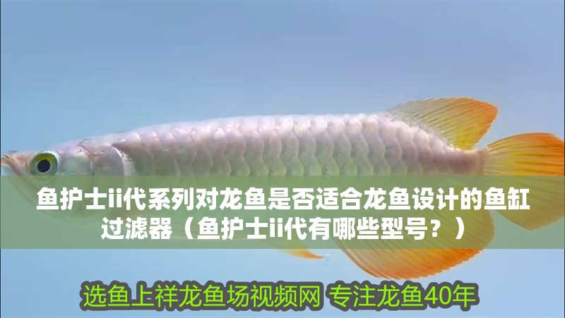龍魚怕什么 魚護士ii代系列對龍魚是否適合龍魚設計的魚缸過濾器(魚護士ii代有哪些型號?) 龍魚百科 魚護士ii代系列對龍魚是否適合龍魚設計的魚缸過濾器(魚護士ii代有哪些型號?) 魚護士ii代系列對龍魚是否適合龍魚設計的魚缸過濾器(魚護士ii代有哪些型號?) 龍魚百科