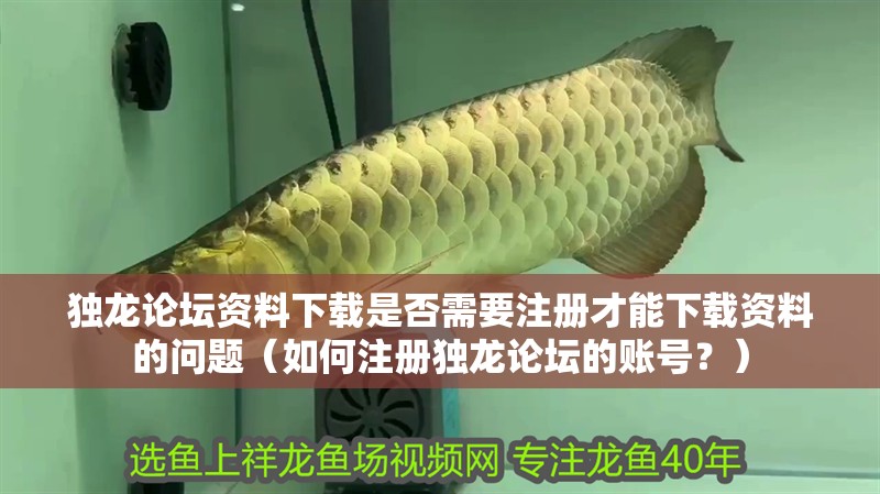 獨龍論壇資料下載是否需要注冊才能下載資料的問題（如何注冊獨龍論壇的賬號？）