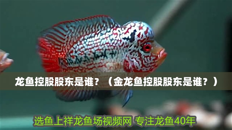 龍魚控股股東是誰？（金龍魚控股股東是誰？）