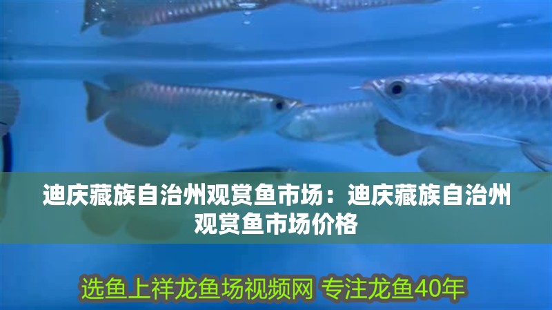 魚缸用增氧泵價格是多少:魚缸增氧機-xtrac增氧機-xtrac增氧機 迪慶藏族自治州觀賞魚市場:迪慶藏族自治州觀賞魚市場價格 觀賞魚百科 迪慶藏族自治州觀賞魚市場:迪慶藏族自治州觀賞魚市場價格 迪慶藏族自治州觀賞魚市場:迪慶藏族自治州觀賞魚市場價格 觀賞魚百科