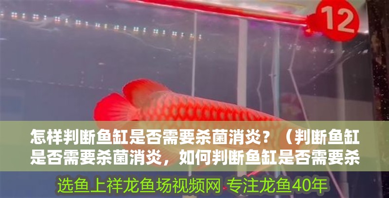 怎樣判斷魚缸是否需要殺菌消炎？（判斷魚缸是否需要殺菌消炎，如何判斷魚缸是否需要殺菌消炎） 怎樣判斷魚缸是否需要殺菌消炎？（判斷魚缸是否需要殺菌消炎，如何判斷魚缸是否需要殺菌消炎） 龍魚百科