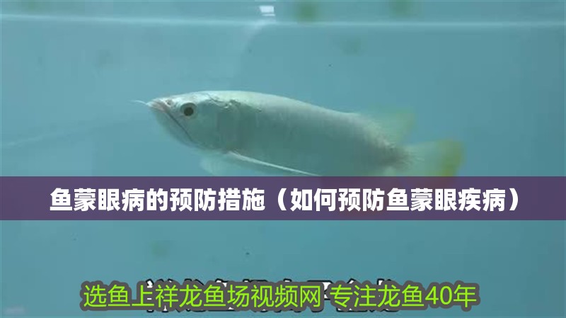 魚蒙眼病的預(yù)防措施（如何預(yù)防魚蒙眼疾病）