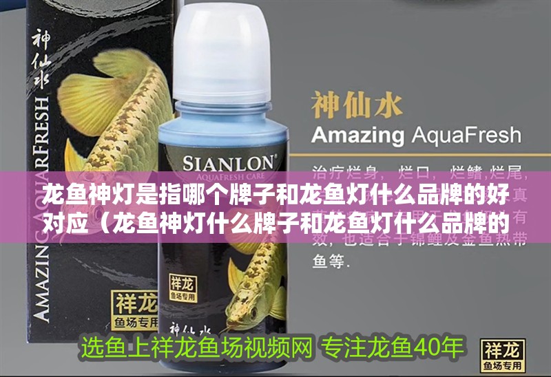 龍魚神燈是指哪個牌子和龍魚燈什么品牌的好對應（龍魚神燈什么牌子和龍魚燈什么品牌的好，龍魚燈什么牌子好） 龍魚神燈是指哪個牌子和龍魚燈什么品牌的好對應（龍魚神燈什么牌子和龍魚燈什么品牌的好，龍魚燈什么牌子好） 觀賞魚百科