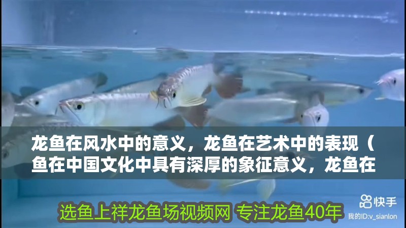 龍魚在風水中的意義，龍魚在藝術中的表現（魚在中國文化中具有深厚的象征意義，龍魚在風水中的意義）