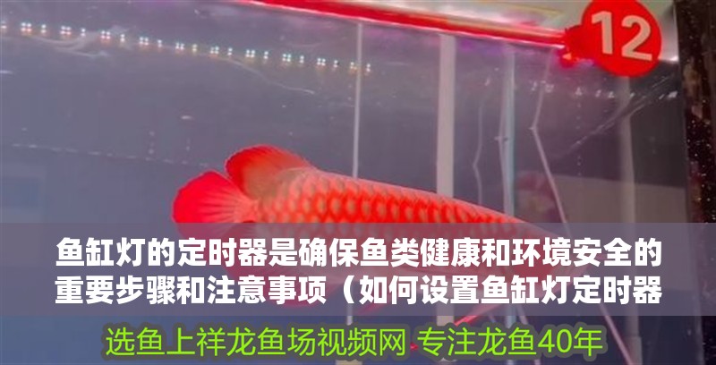 魚缸燈的定時器是確保魚類健康和環境安全的重要步驟和注意事項（如何設置魚缸燈定時器）