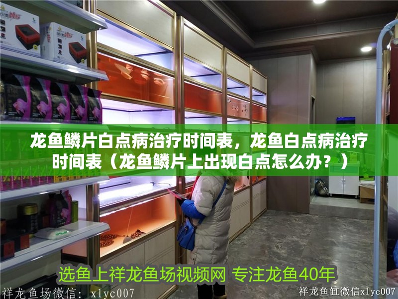 龍魚鱗片白點病治療時間表，龍魚白點病治療時間表（龍魚鱗片上出現(xiàn)白點怎么辦？）