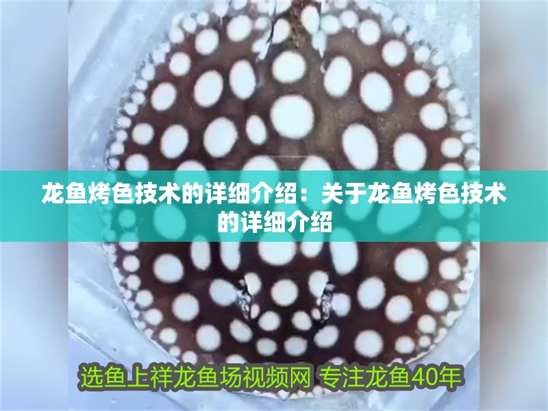 龍魚(yú)烤色技術(shù)的詳細(xì)介紹：關(guān)于龍魚(yú)烤色技術(shù)的詳細(xì)介紹