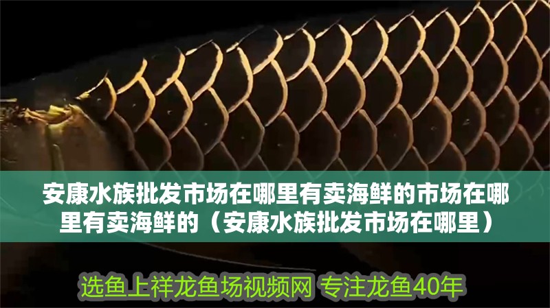 安康水族批發(fā)市場(chǎng)在哪里有賣海鮮的市場(chǎng)在哪里有賣海鮮的（安康水族批發(fā)市場(chǎng)在哪里） 安康水族批發(fā)市場(chǎng)在哪里有賣海鮮的市場(chǎng)在哪里有賣海鮮的（安康水族批發(fā)市場(chǎng)在哪里） 觀賞魚(yú)百科