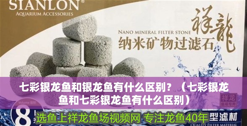 七彩銀龍魚和銀龍魚有什么區別？（七彩銀龍魚和七彩銀龍魚有什么區別） 七彩銀龍魚和銀龍魚有什么區別？（七彩銀龍魚和七彩銀龍魚有什么區別） 觀賞魚百科