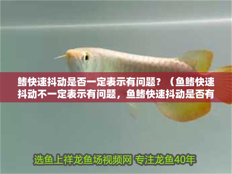 鰭快速抖動是否一定表示有問題？（魚鰭快速抖動不一定表示有問題，魚鰭快速抖動是否有問題）