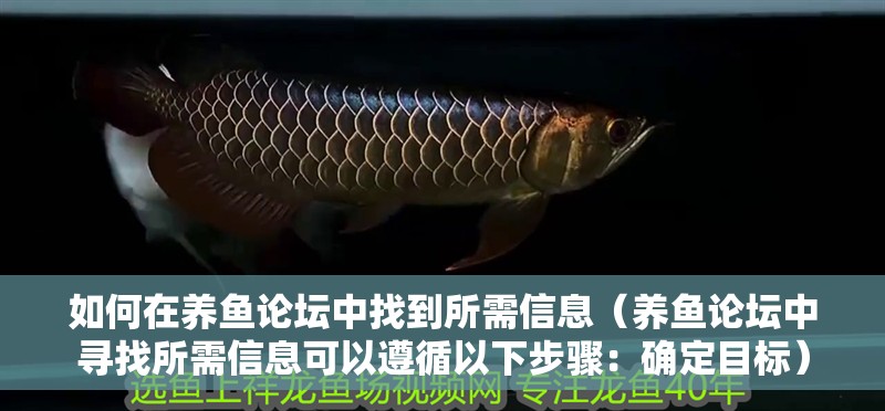 如何在養(yǎng)魚(yú)論壇中找到所需信息（養(yǎng)魚(yú)論壇中尋找所需信息可以遵循以下步驟：確定目標(biāo)）